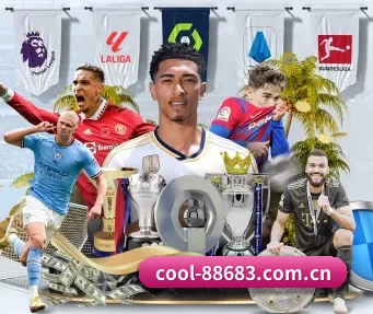 cool-88683.com.cn APP